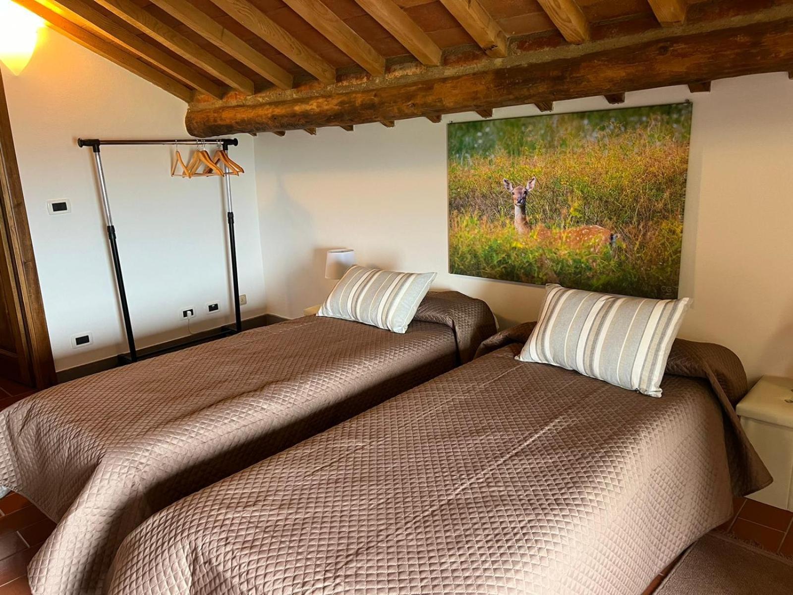 Casa Podere San Firenze San Firenze - Fonte Di Sala Dış mekan fotoğraf